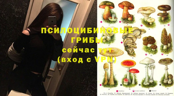 спайс Алексин