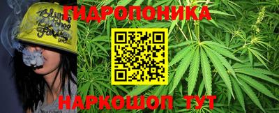 гидра Можга