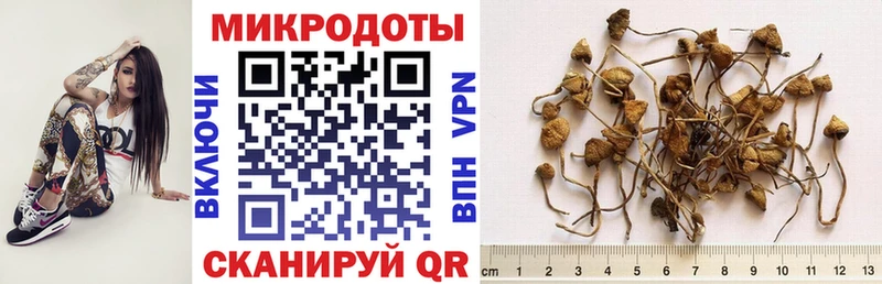Псилоцибиновые грибы мухоморы OMG ссылки Томск