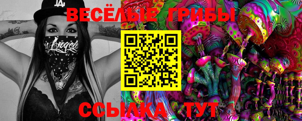 Томск  Псилоцибиновые грибы Magic Shrooms  как найти   Вход с VPN  Галлюциногенные грибы MAGIC MUSHROOMS 
